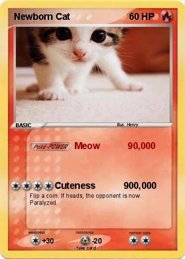 Pokemon Newborn Cat