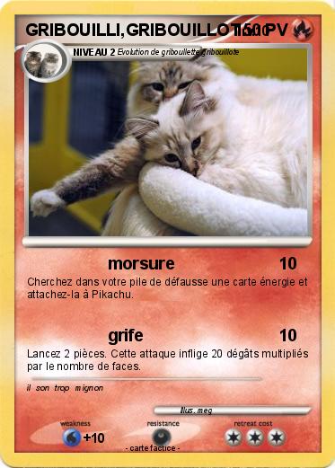 Pokemon GRIBOUILLI,GRIBOUILLOT