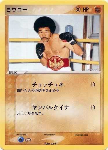 Pokemon ヨウコー