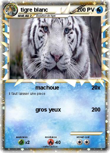 Pokemon tigre blanc