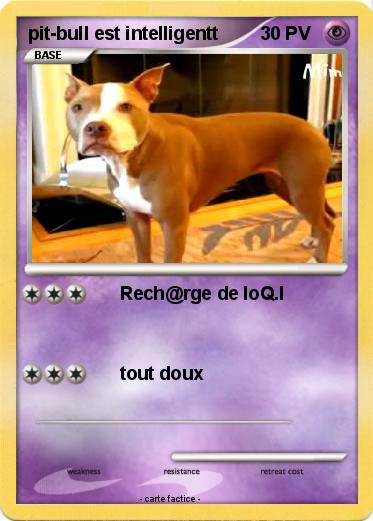 Pokemon pit-bull est intelligentt