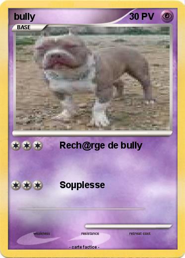 Pokemon bully