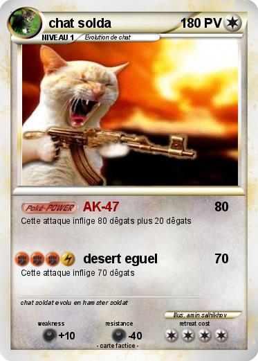 Pokemon chat solda