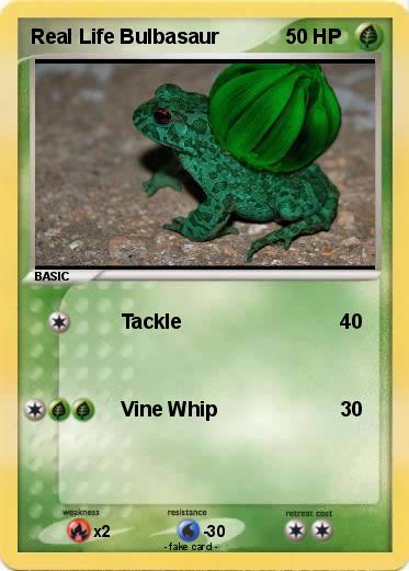 Pokemon Real Life Bulbasaur