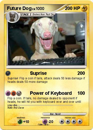 Pokemon Future Dog