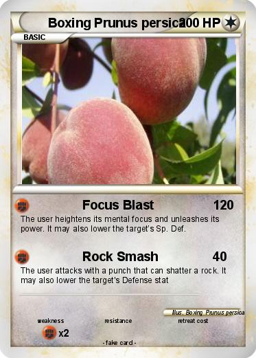 Pokemon Boxing Prunus persica