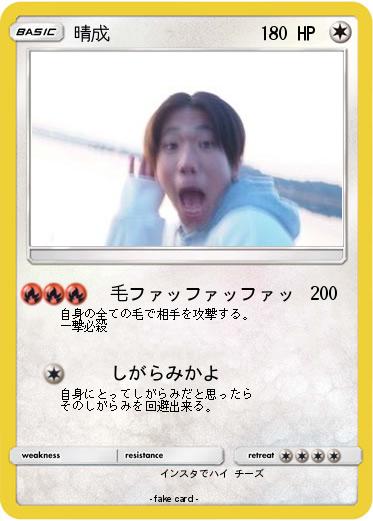 Pokemon 晴成