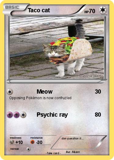 Pokemon Taco cat