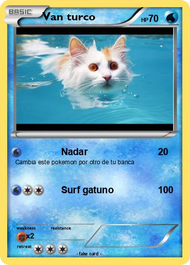 Pokemon Van turco