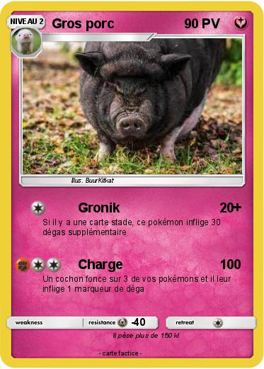 Pokemon Gros porc
