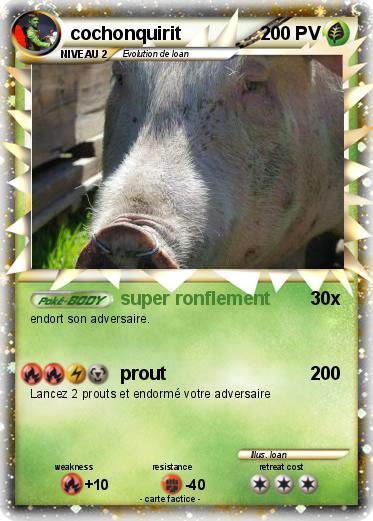 Pokemon cochonquirit