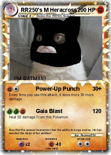 Pokemon RR250's M Heracross