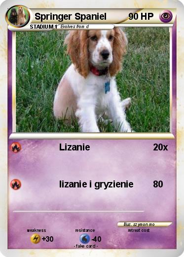 Pokemon Springer Spaniel