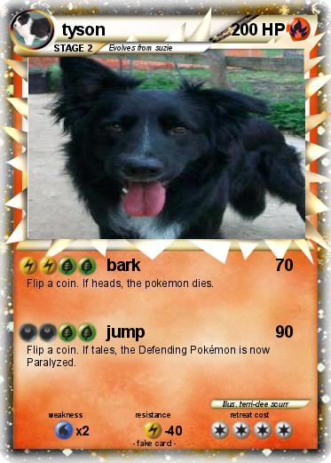 Pokemon tyson
