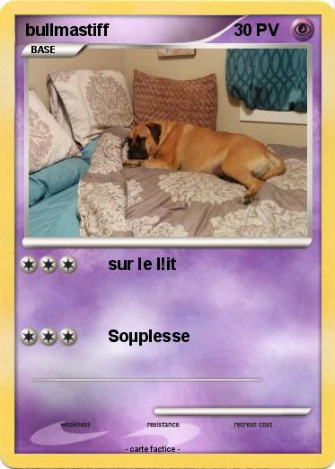 Pokemon bullmastiff