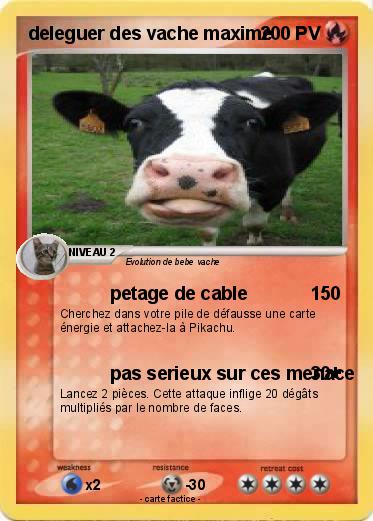 Pokemon deleguer des vache maxime