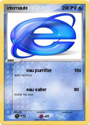 Pokemon internaute