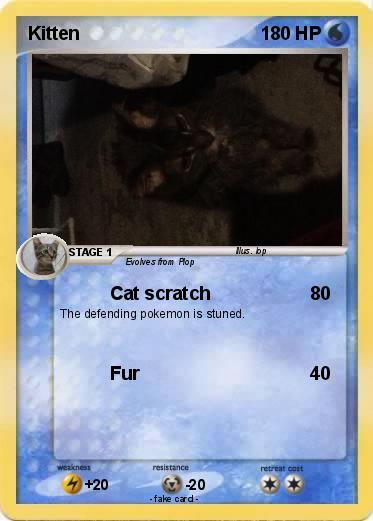 Pokemon Kitten
