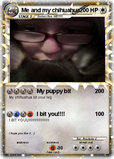 Pokemon Me and my chihuahua