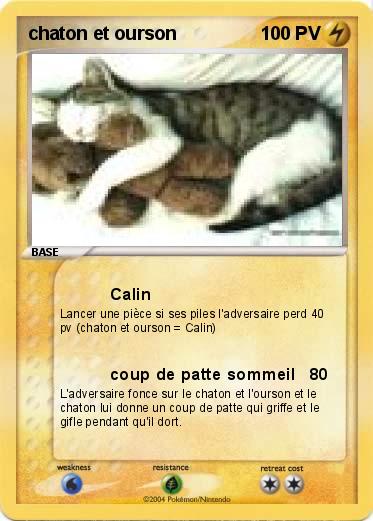 Pokemon chaton et ourson 