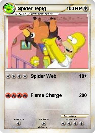 Pokemon Spider Tepig