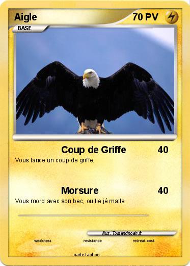 Pokemon Aigle