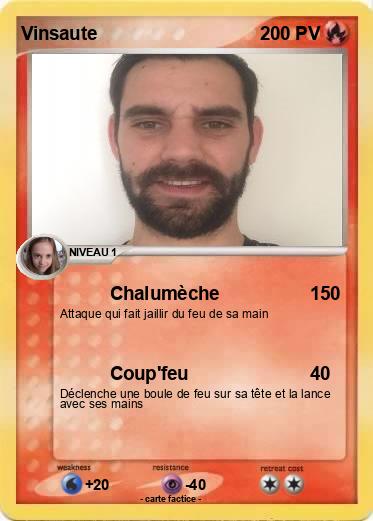Pokemon Vinsaute