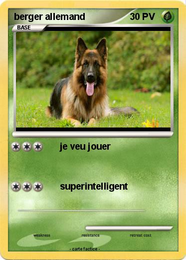 Pokemon berger allemand