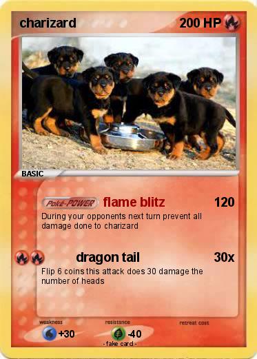 Pokemon charizard