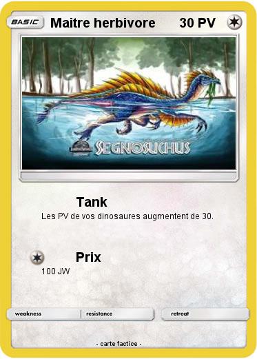 Pokemon Maitre herbivore