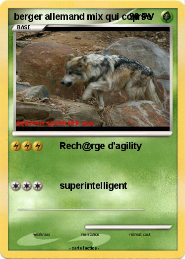 Pokemon berger allemand mix qui coµrse