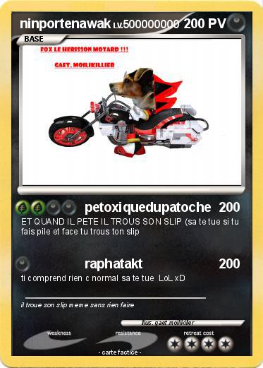 Pokemon ninportenawak