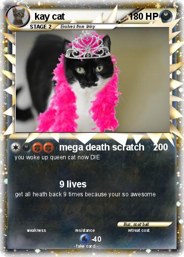 Pokemon kay cat