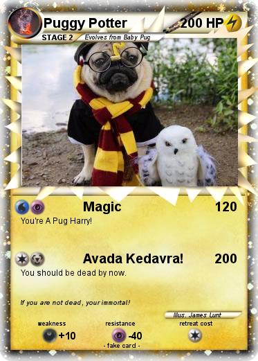 Pokemon Puggy Potter