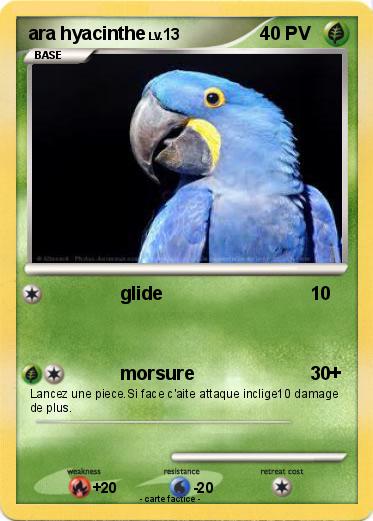 Pokemon ara hyacinthe