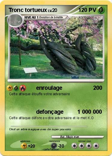 Pokemon Tronc tortueux