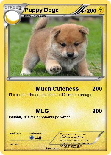 Pokemon Puppy Doge
