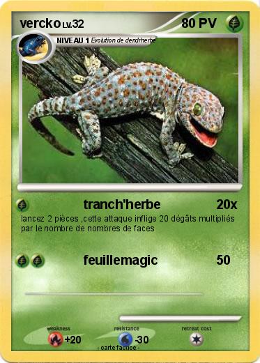 Pokemon vercko