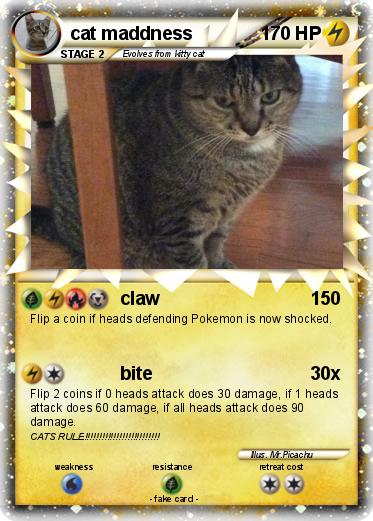 Pokemon cat maddness