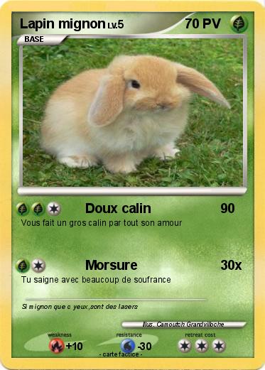 Pokemon Lapin mignon