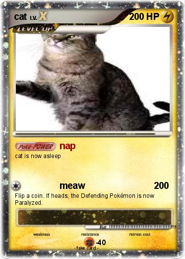 Pokemon cat