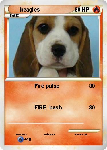 Pokemon beagles