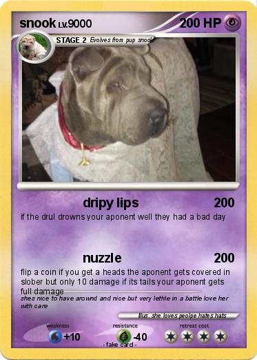 Pokemon snook