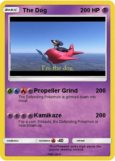 Pokemon The Dog