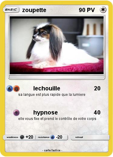 Pokemon zoupette