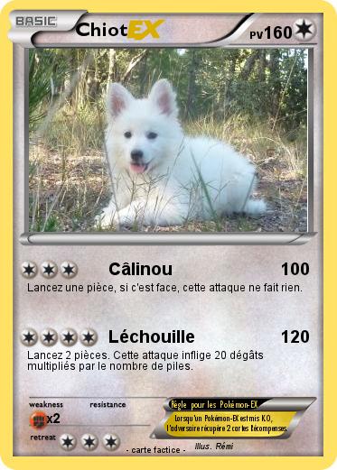 Pokemon Chiot