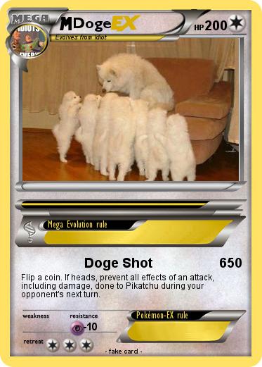 Pokemon Doge