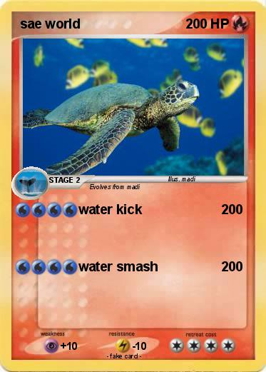 Pokemon sae world
