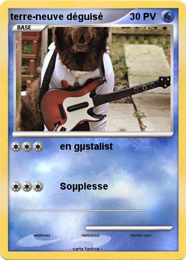 Pokemon terre-neuve déguisé