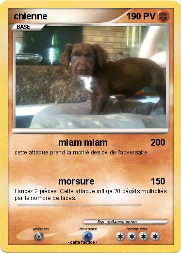 Pokemon chienne